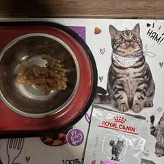 Фото отзыва 10752780