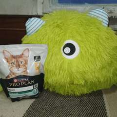 Фото отзыва 10847449