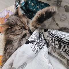 Фото отзыва 10797092