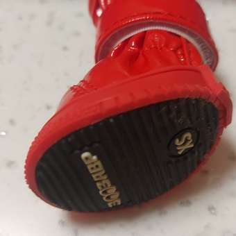 Ботинки для собак Зоозавр 4 шт: отзыв пользователя. Зоомагазин Зоозавр