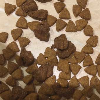 Корм для собак Purina Pro Plan 2.5кг Duo Delice мелких и карликовых пород с высоким содержанием говядины: отзыв пользователя. Зоомагазин Зоозавр