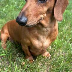 Фото отзыва 10969788