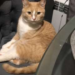 Фото отзыва 10650902