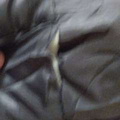 Фото отзыва 10826757