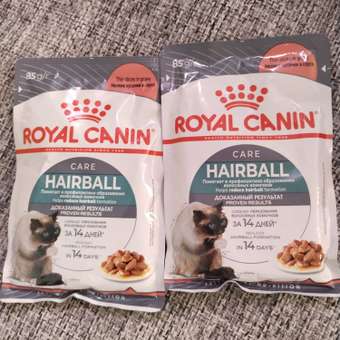 Корм для кошек ROYAL CANIN Hairball care для снижения риска образования волосяных комочков 85г: отзыв пользователя. Зоомагазин Зоозавр