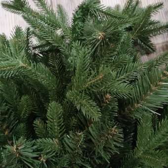 Елка Царь елка Абсолют 185 см: отзыв пользователя Детский Мир