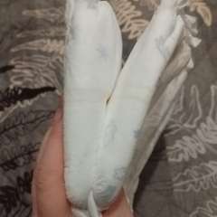 Фото отзыва 10832815