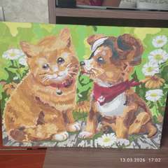 Фото отзыва 11174643