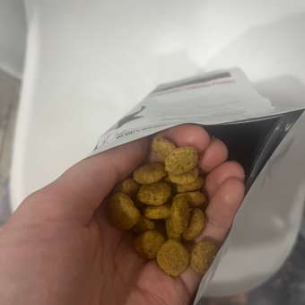 Корм для собак ROYAL CANIN Hepatic HF16 при заболеваниях печени 6кг: отзыв пользователя. Зоомагазин Зоозавр