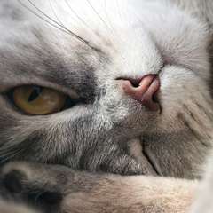 Фото отзыва 9380501