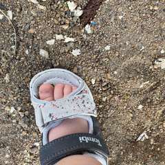 Фото отзыва 4521319