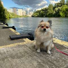 Фото отзыва 10321742