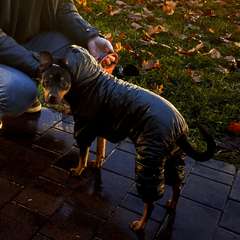 Фото отзыва 10637316