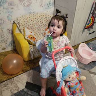 Прогулочная коляска для кукол Amico: отзыв пользователя Детский Мир