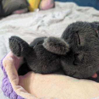 Мягкая игрушка Balori Кот в корзинке: отзыв пользователя Детский Мир