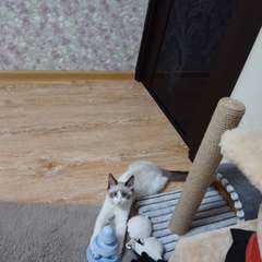 Фото отзыва 10748308