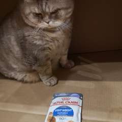 Фото отзыва 10616285