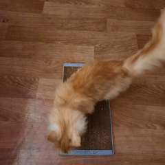 Фото отзыва 11047854