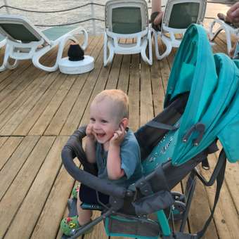 Коляска прогулочная Babyton Zoo New голубой: отзыв пользователя Детский Мир