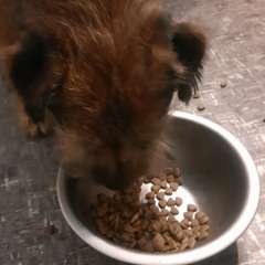 Фото отзыва 10770484