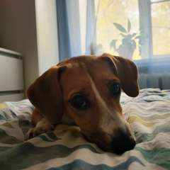 Фото отзыва 10541037