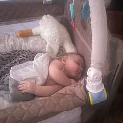 Фото отзыва 11296257