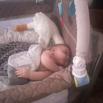 Манеж кровать Indigo Bon-Bon бежевый бежевый: отзыв пользователя Детский Мир