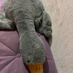 Фото отзыва 4996384