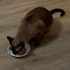 Фото отзыва 10755591