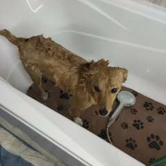 Фото отзыва 10857648