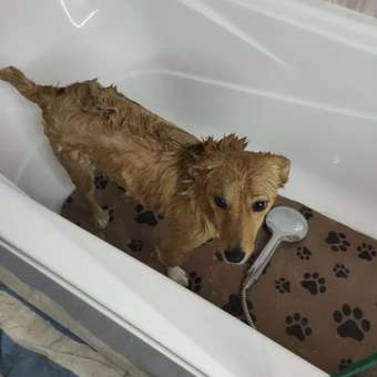 Коврик для ванны VILINA c присосками для животных 43х90 см. коричневый: отзыв пользователя. Зоомагазин Зоозавр