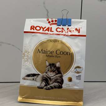 Корм сухой для кошек ROYAL CANIN Maine Coon 400г породы мейн-кун: отзыв пользователя. Зоомагазин Зоозавр