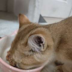 Фото отзыва 10462574