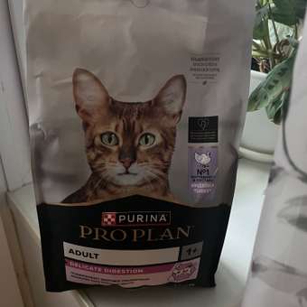 Корм сухой для кошек PRO PLAN 1.5кг с индейкой с чувствительным пищеварением: отзыв пользователя. Зоомагазин Зоозавр