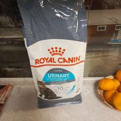 Фото отзыва 10667622