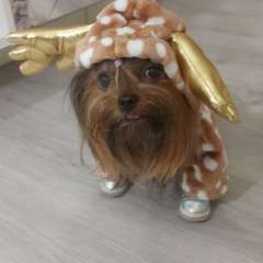 Фото отзыва 10499994