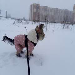 Фото отзыва 10916559