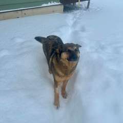 Фото отзыва 10918589