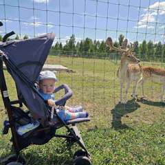 Фото отзыва 11213594