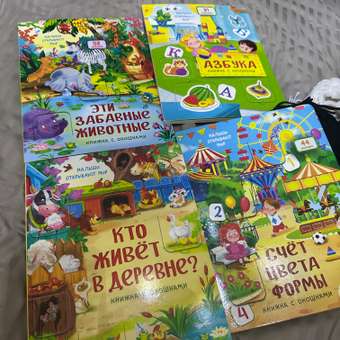 Набор книжек с окошками BimBiMon Для маленьких почемучек 4 шт: отзыв пользователя Детский Мир