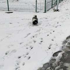Видео отзыва 8588131