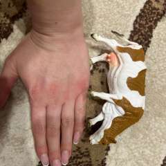 Фото отзыва 10650816