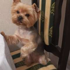 Фото отзыва 10764383