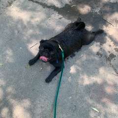 Фото отзыва 10780151