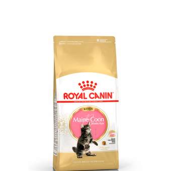 Корм для котят Royal Canin 4кг Maine Coon породы мейн-кун: отзыв пользователя. Зоомагазин Зоозавр