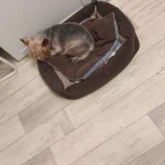 Фото отзыва 10541396