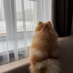 Фото отзыва 10733508