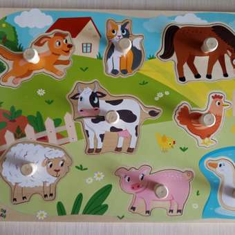 Настольная игра Donty-Tonty: отзыв пользователя Детский Мир