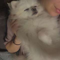 Фото отзыва 10476532