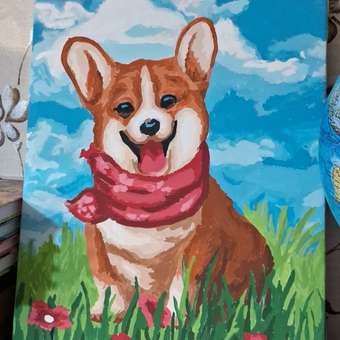 Картина по номерам Attivio Корги: отзыв пользователя Детский Мир